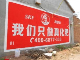 台江刷墙广告”蕴含了时代命题