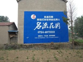 台江农村墙体广告的长尾效应