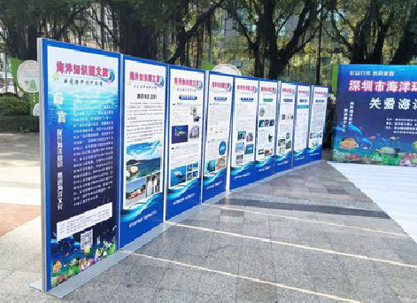 台江KT板的种类和知识。